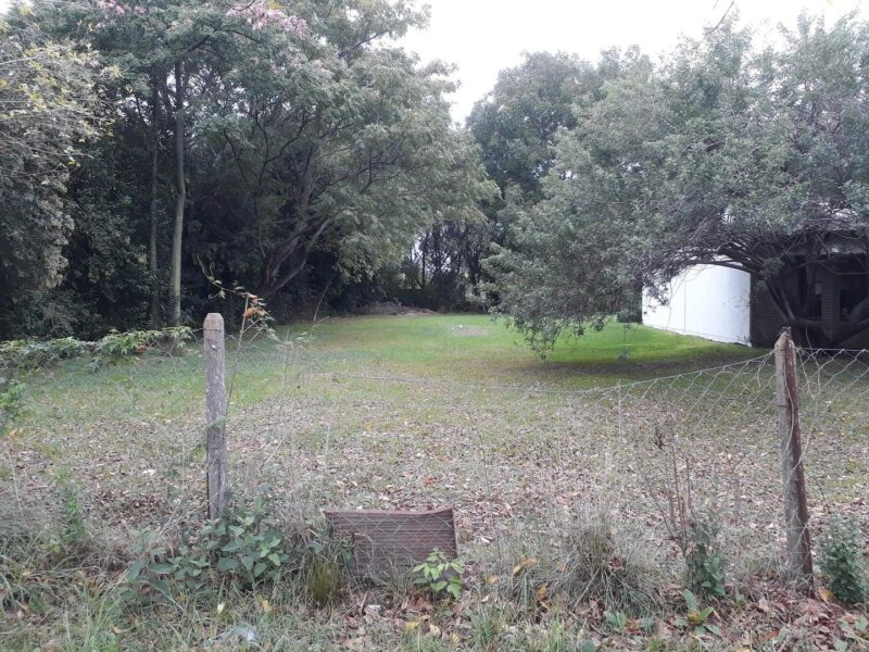 Felipe Boero 400 - Terreno LOTE DE TERRENO "EN VENTA"