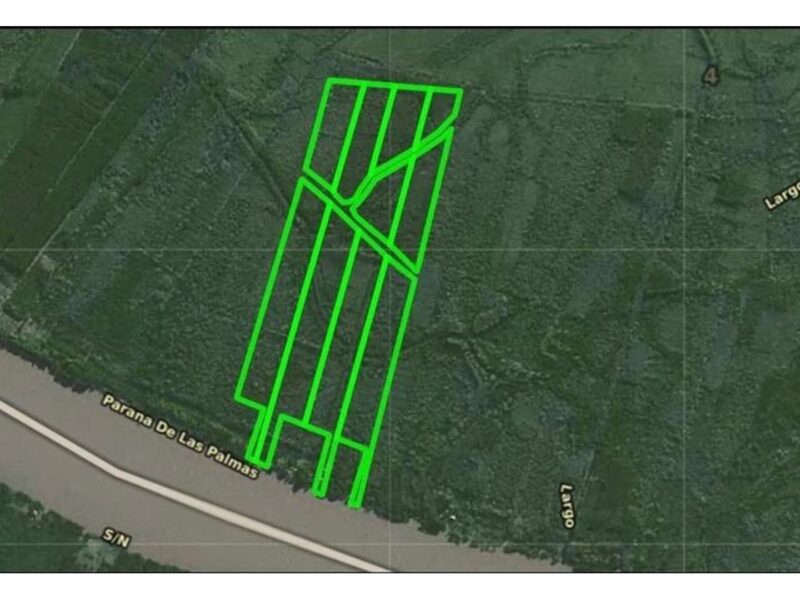 RÍo Parana - Isla ISLA