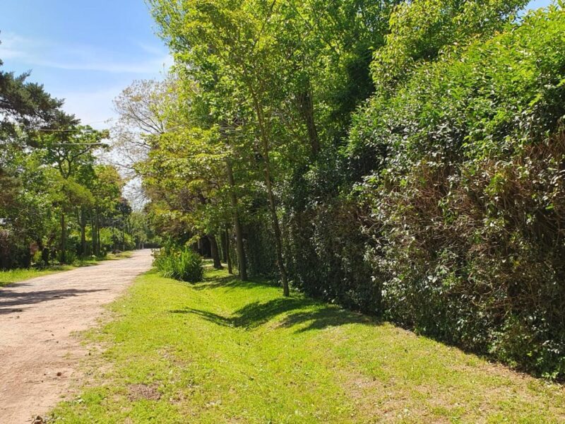 Ruben Dario 3100 - Terreno TERRENO EN EXCELENTE UBICACION(ENTRADA EL CAZADOR)