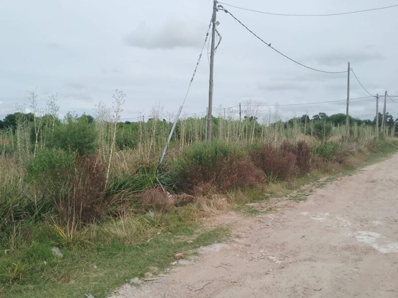 San Lorenzo 1300 - Terreno TERRENO EN VENTA