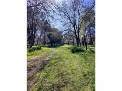 Los Sabinos - Campo CAMPO EN VENTA