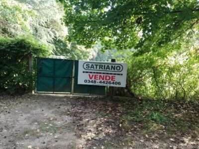 Paul Harris 200 - Terreno PAUL HARRIS 232