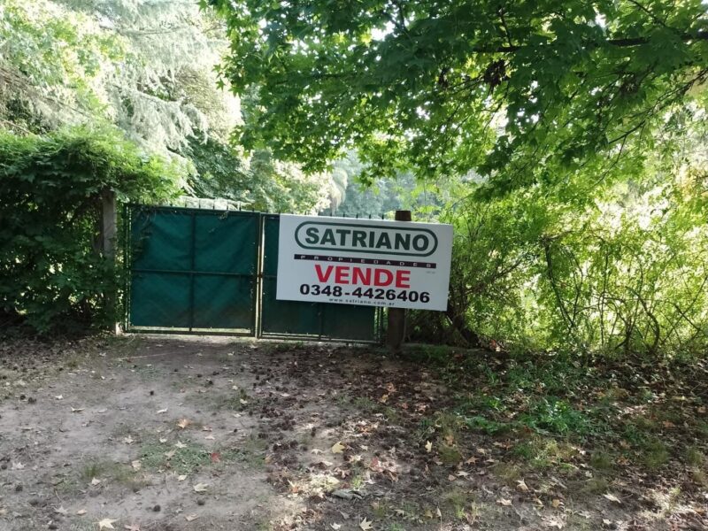Paul Harris 200 - Terreno PAUL HARRIS 232